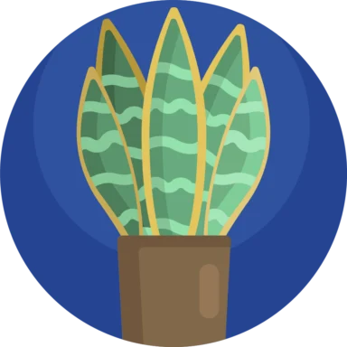 House Plant icon 10 of 10