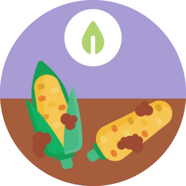 Bio Food and Agriculture icon 6 of 10