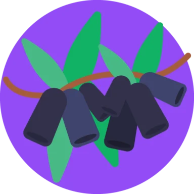 Exotic Fruits icon 10 of 10