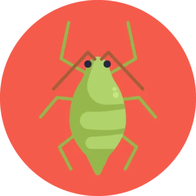 Insects and Bugs icon 1 of 10