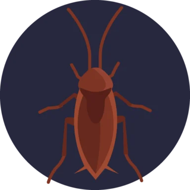 Insects and Bugs icon 3 of 10