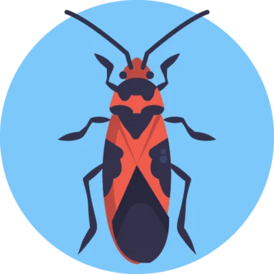 Insects and Bugs icon 9 of 10