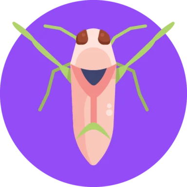 Insects and Bugs icon 2 of 10