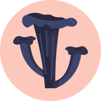Mushrooms icon 1 of 10