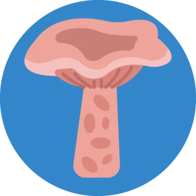Mushrooms icon 6 of 10