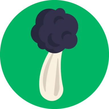 Mushrooms icon 9 of 10