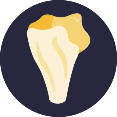 Mushrooms icon 10 of 10