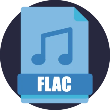 Audio and Video icon 10 of 10