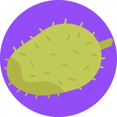 Fresh Fruit icon 6 of 10