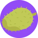 Free Fresh Fruit icon 6