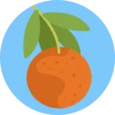 Free Fresh Fruit icon 7