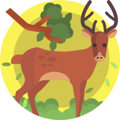 Nature icon 2 of 10