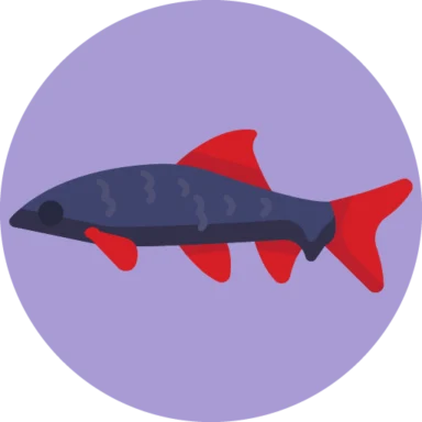 Exotic Fish icon 4 of 10