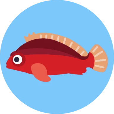 Exotic Fish icon 7 of 10