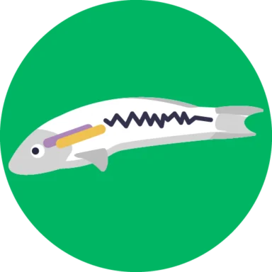 Exotic Fish icon 10 of 10
