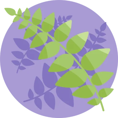 Jungle icon 4 of 10