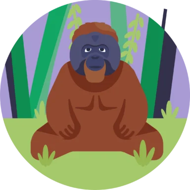 Jungle icon 6 of 10